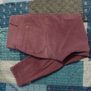 Super soft Mauve Democracy Ab Corduroy pants